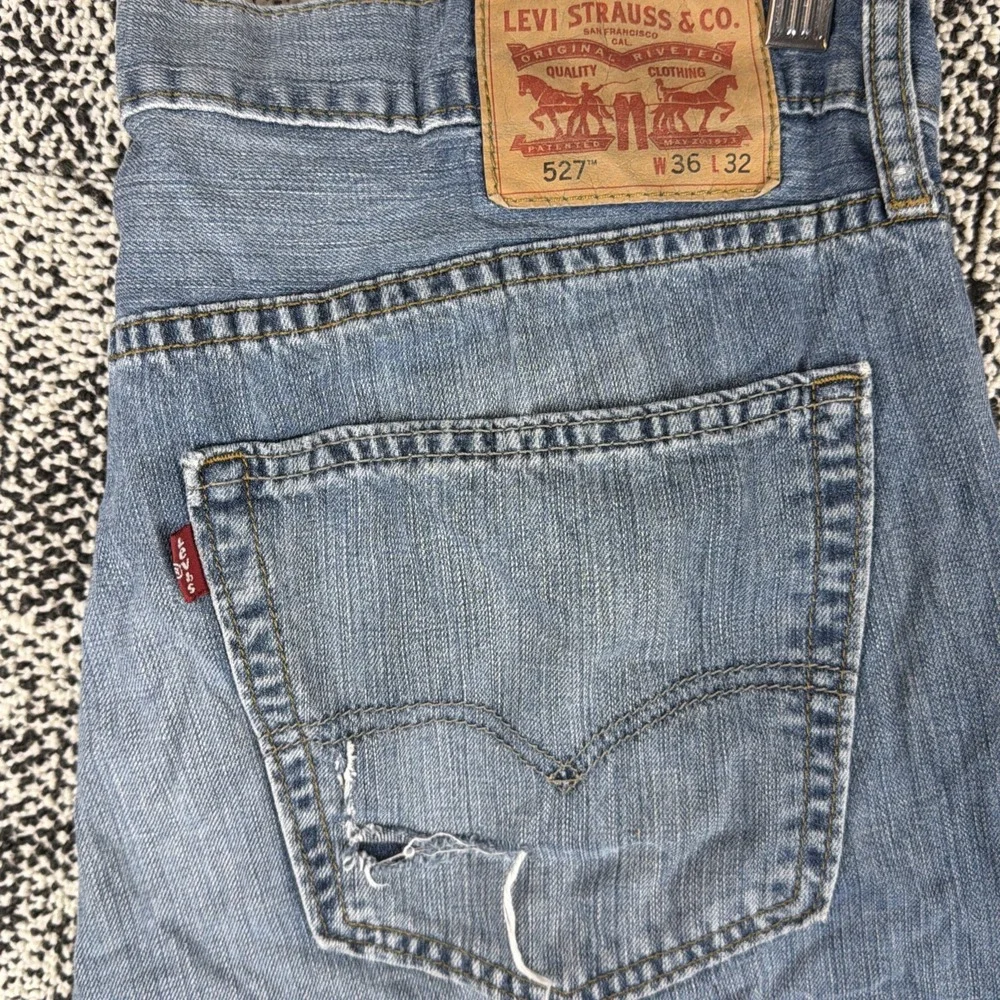 Levis levis 527